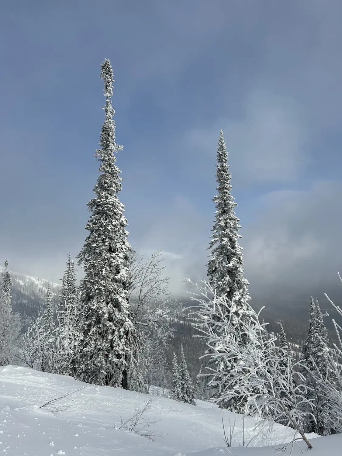 Powder Club — Шерегеш, фото 11