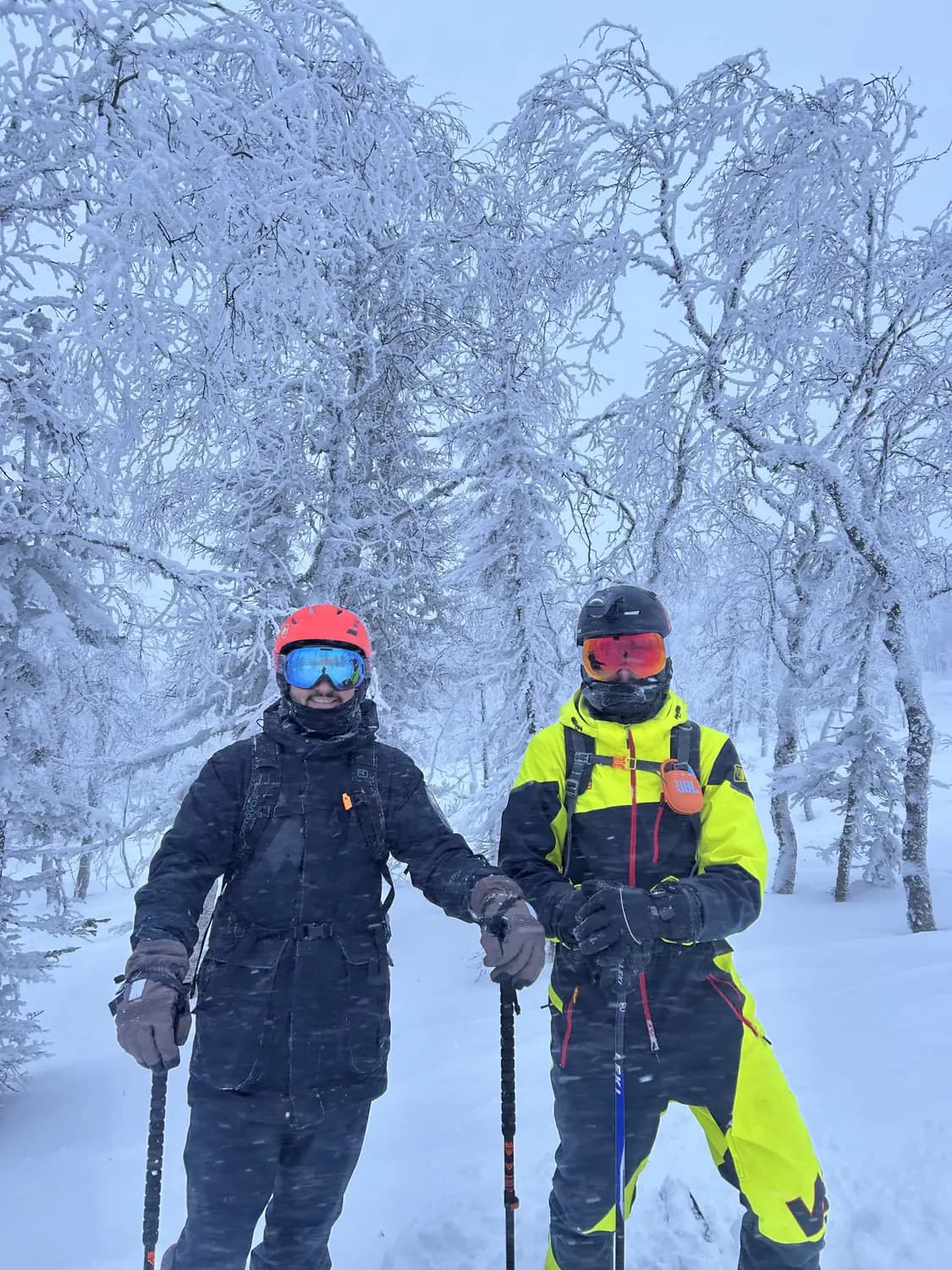Powder Club — Шерегеш, фото 13