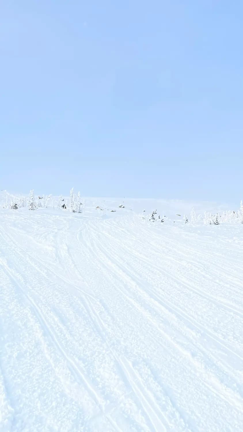 Powder Club — Шерегеш, фото 18
