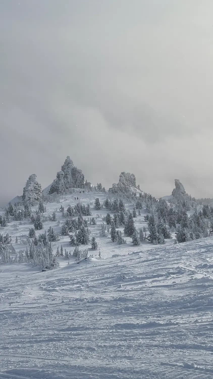 Powder Club — Шерегеш, фото 19