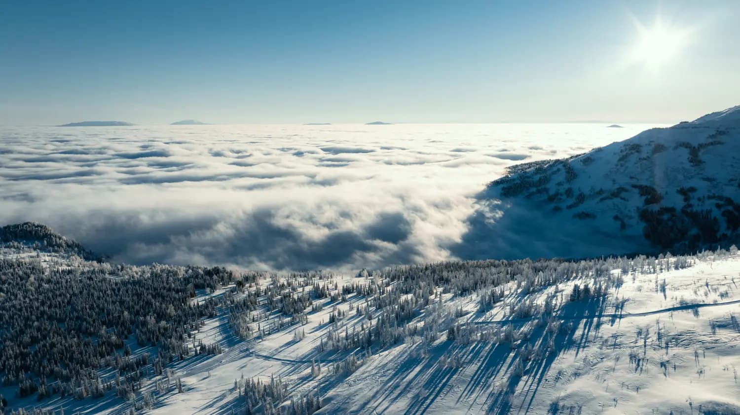 Powder Club — Шерегеш, фото 20