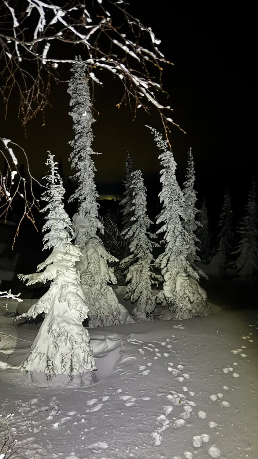Powder Club — Шерегеш, фото 23
